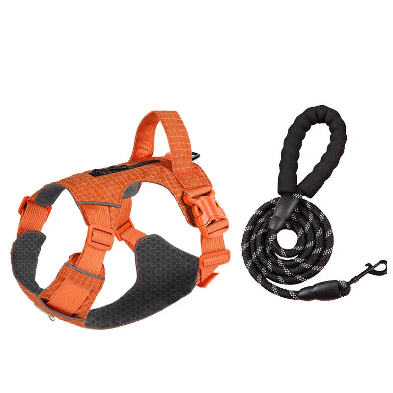 Adjustable Nylon Vest-Style Dog Harness and Leash Set