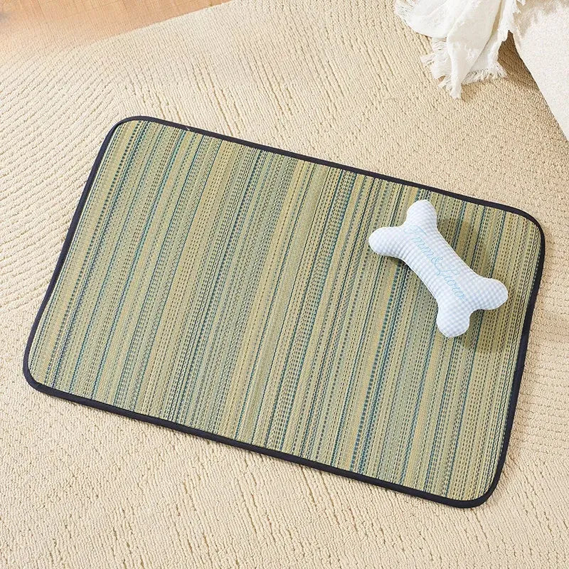 Silicone Pet Bed Mat
