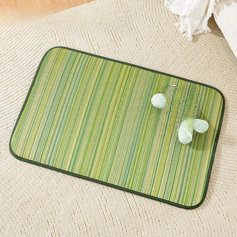 Silicone Pet Bed Mat