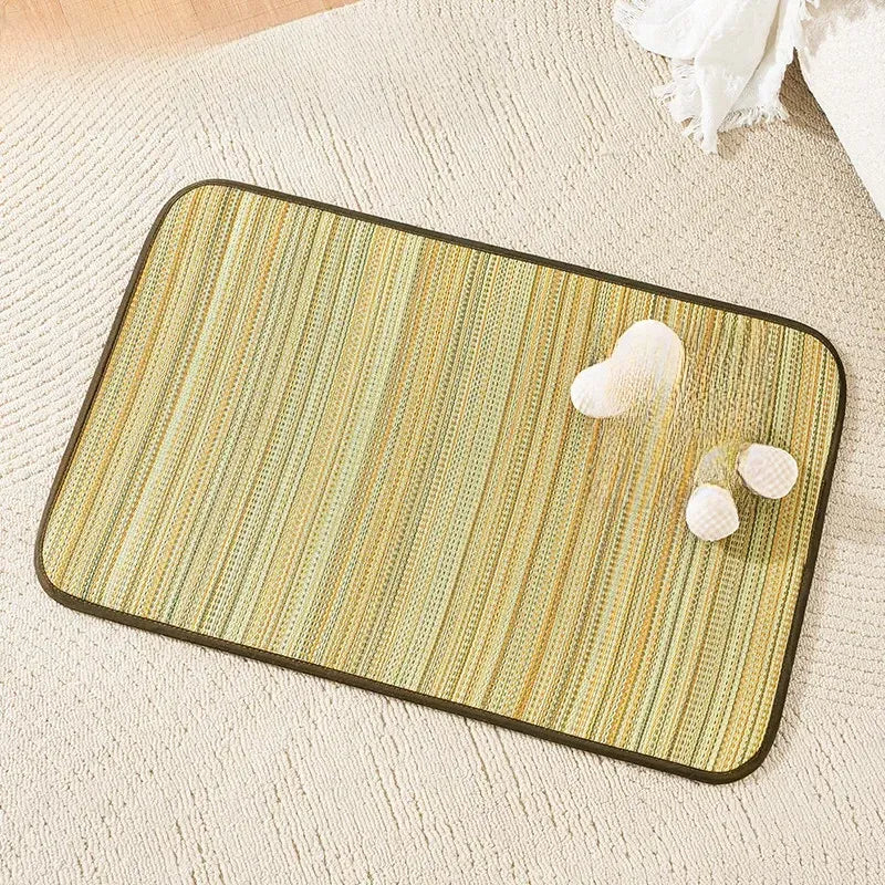 Silicone Pet Bed Mat
