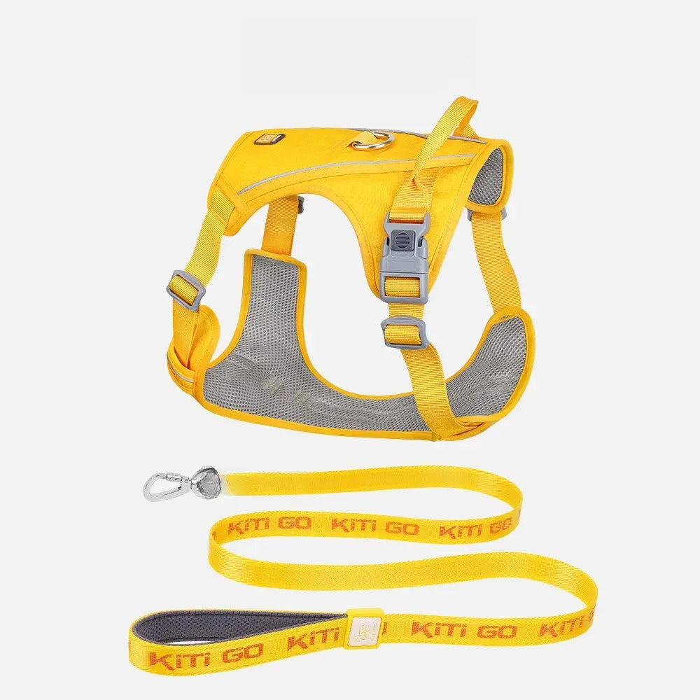 Lightweight Nylon Dog Harness and Leash Set