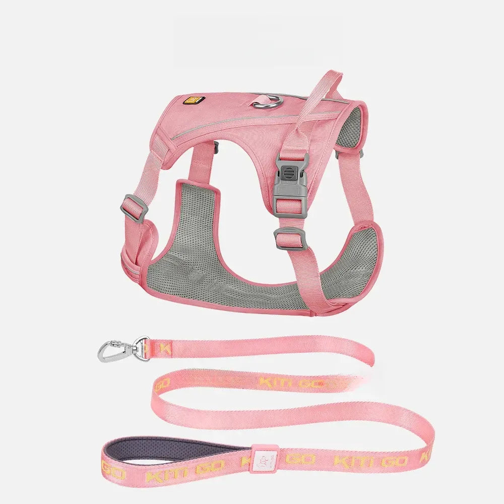 Lightweight Nylon Dog Harness and Leash Set