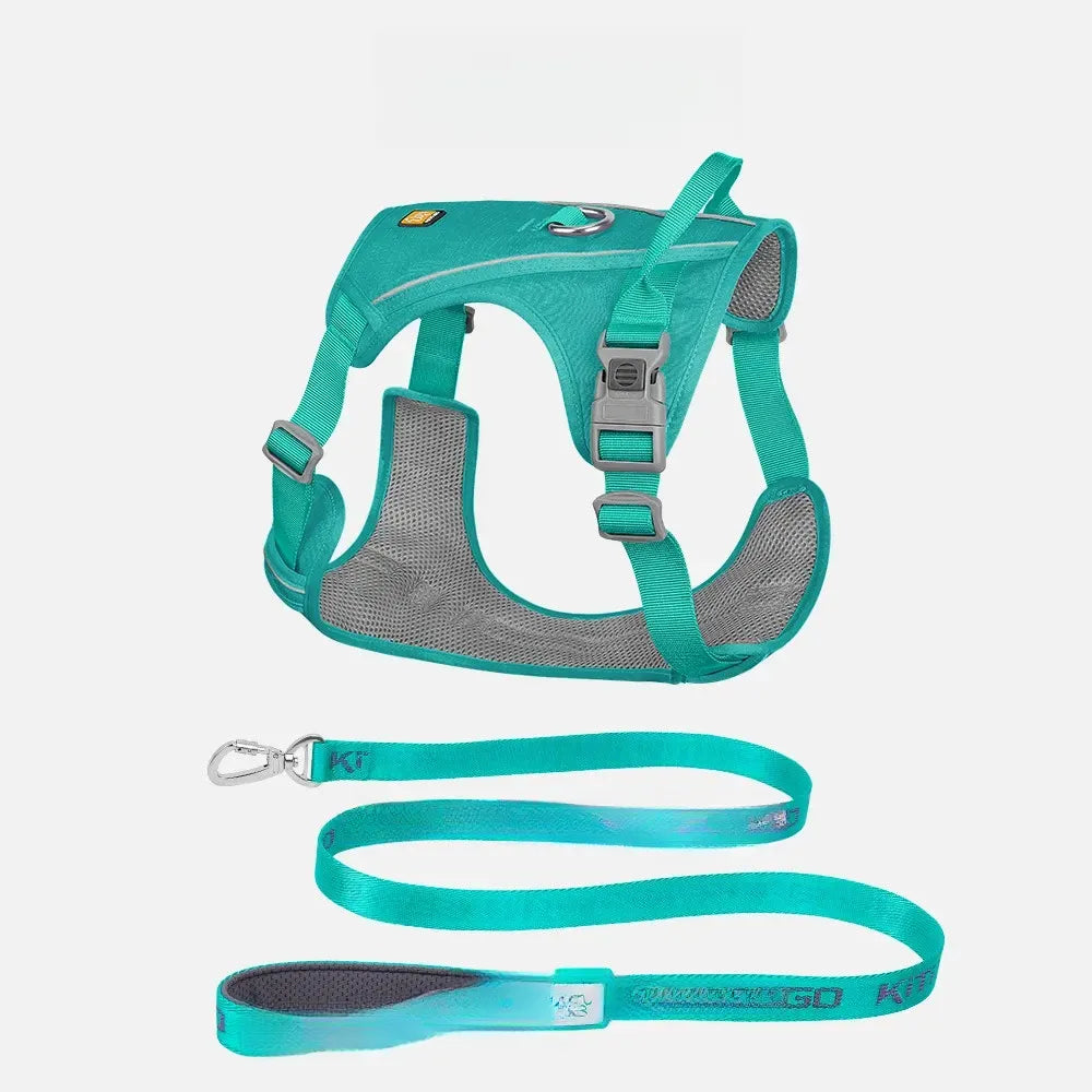 Lightweight Nylon Dog Harness and Leash Set
