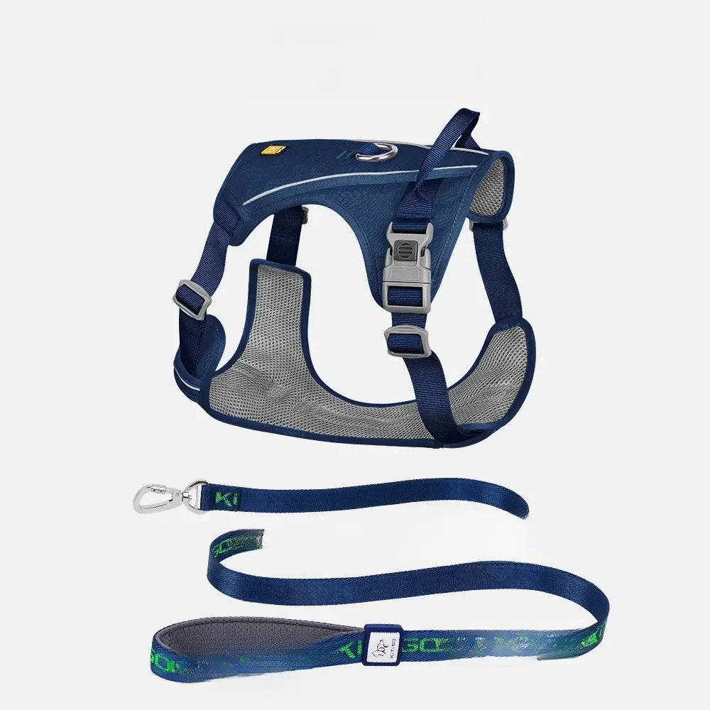 Lightweight Nylon Dog Harness and Leash Set