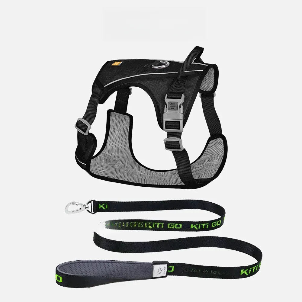 Lightweight Nylon Dog Harness and Leash Set
