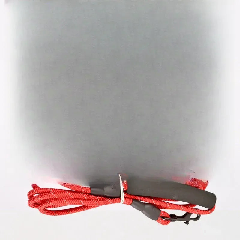 Cat Harness and Leash
