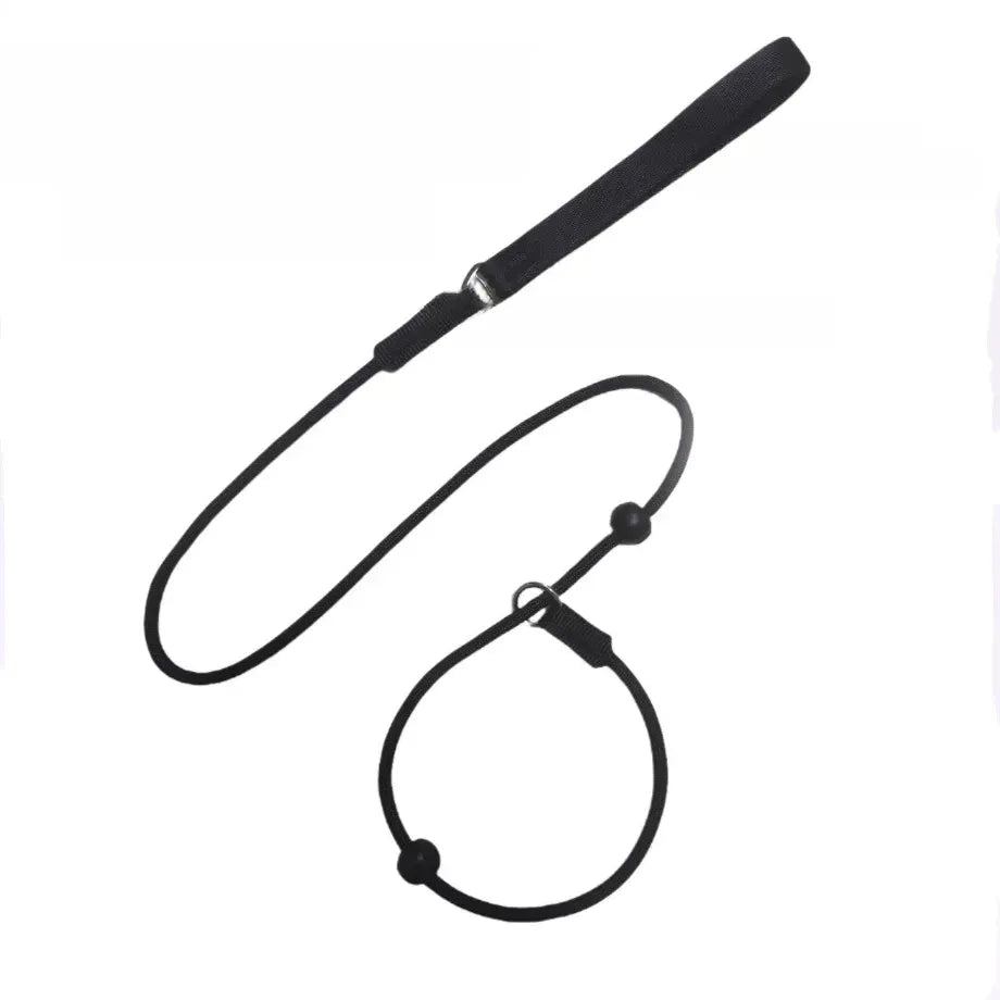 Nylon Rope-Style Dog Training Leash for Small and Medium Dogs